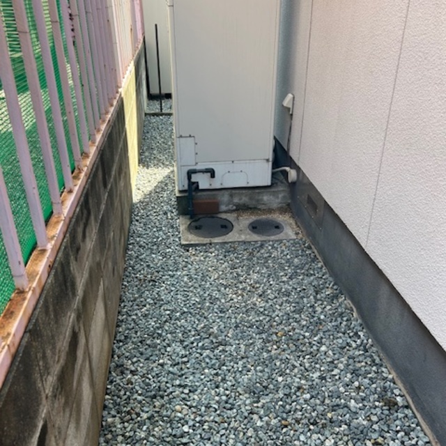 の画像