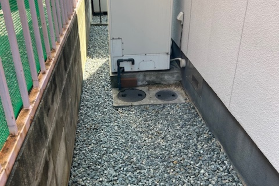 の画像