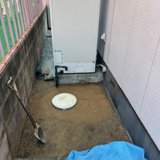 の画像