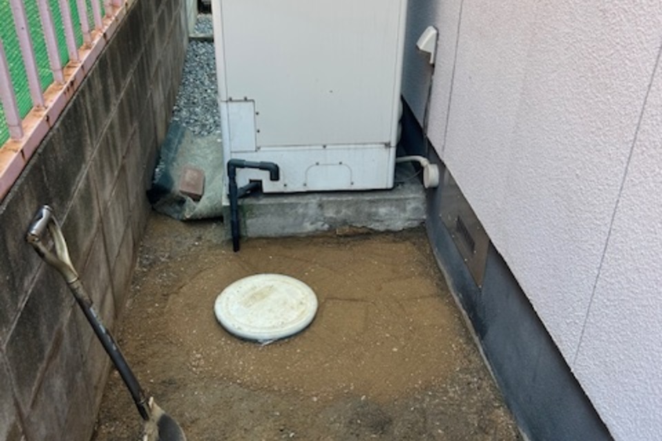 の画像