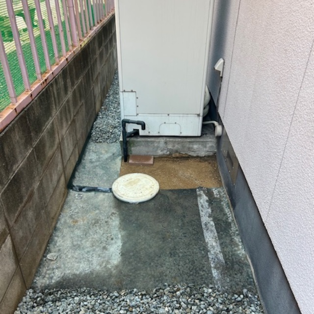 の画像