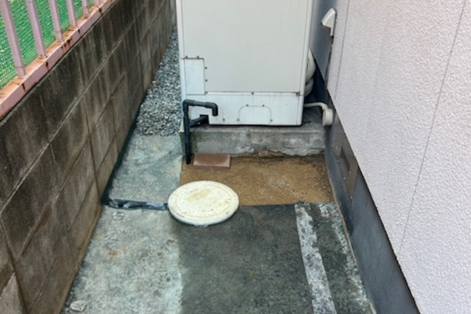 の画像