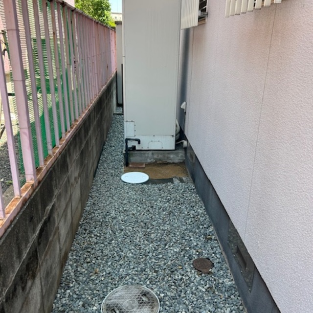 の画像