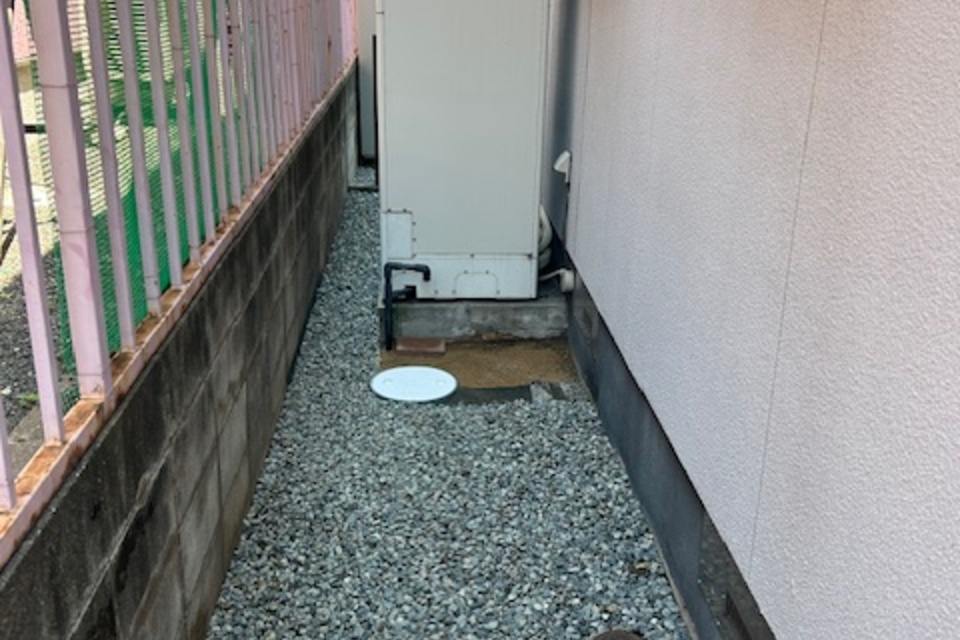 の画像