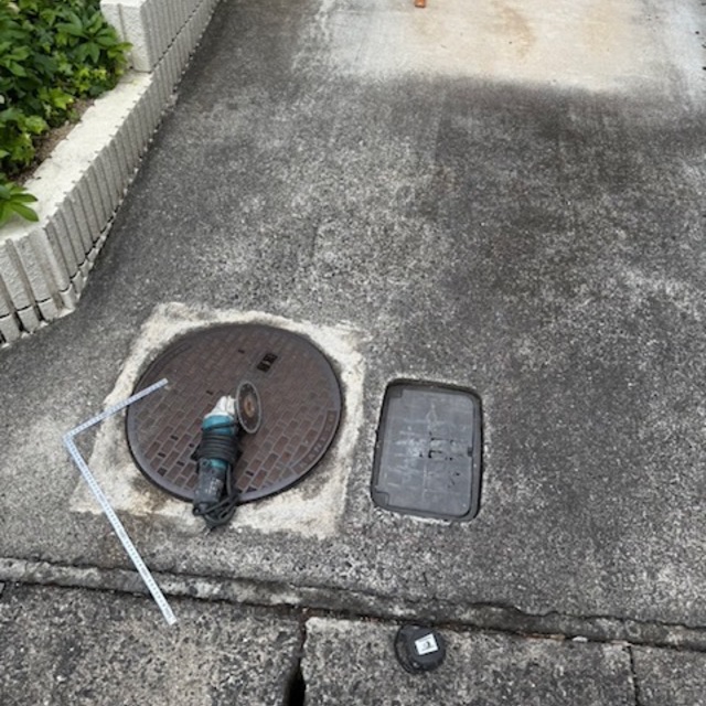 の画像