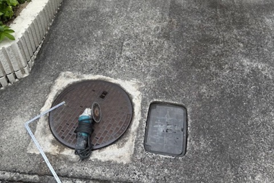の画像