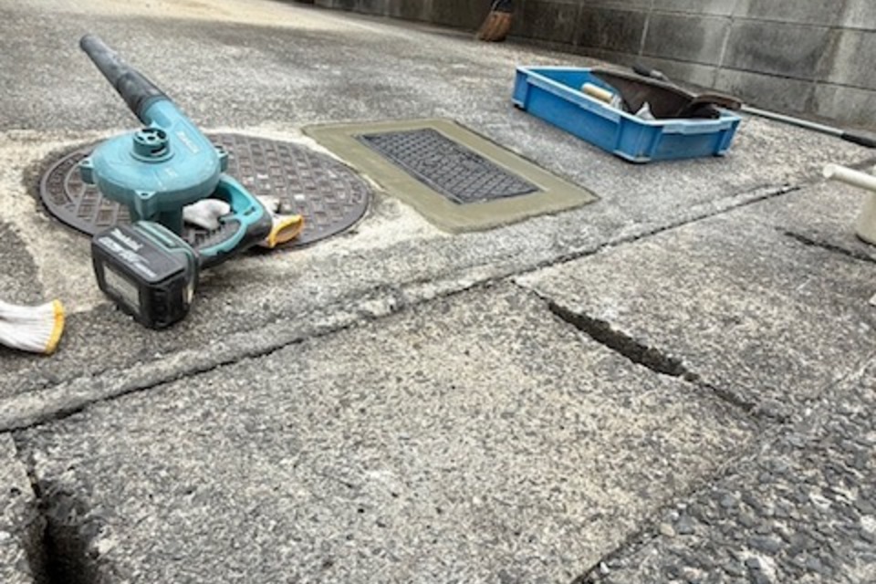 の画像