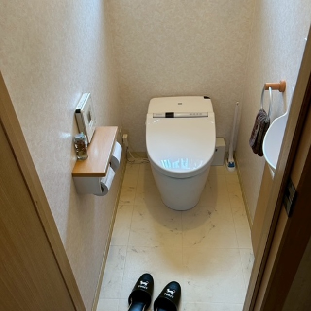 の画像