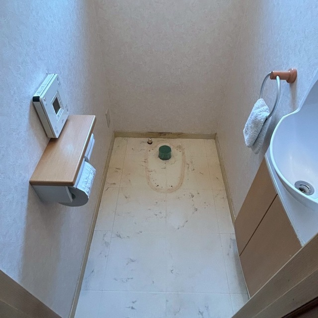 の画像