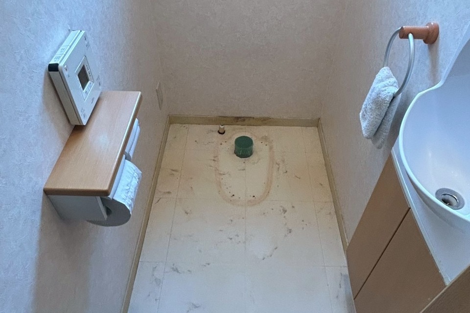 の画像
